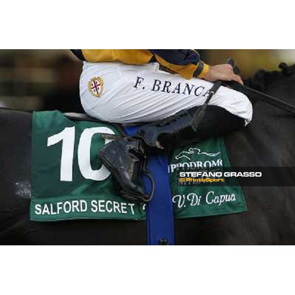A touch of green Milano-San Siro Racecourse,28th sept.2014 ph.Stefano Grasso/Trenno srl