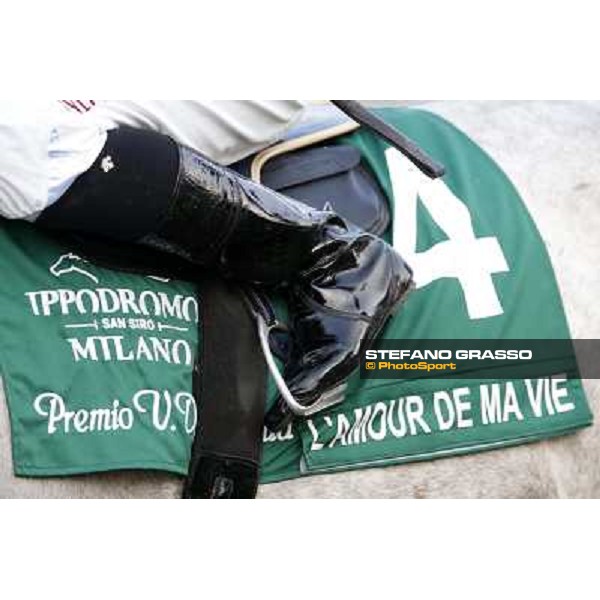 A touch of green Milano-San Siro Racecourse,28th sept.2014 ph.Stefano Grasso/Trenno srl