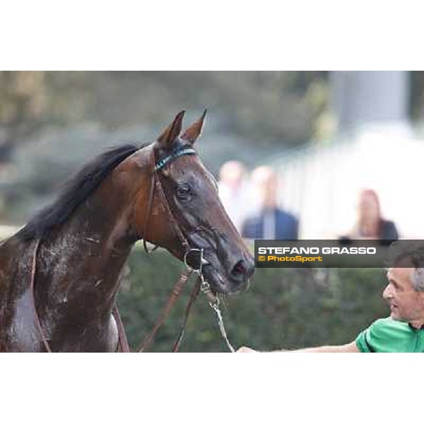 Gypsy Biker - Federico Bossa - Premio Aprica Milano-San Siro Racecourse,28th sept.2014 ph.Stefano Grasso/Trenno srl