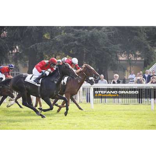 Avabin - Walter Gambarota - Premio Criterium Nazionale Milano-San Siro Racecourse,28th sept.2014 ph.Stefano Grasso/Trenno srl