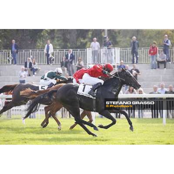 Avabin - Walter Gambarota - Premio Criterium Nazionale Milano-San Siro Racecourse,28th sept.2014 ph.Stefano Grasso/Trenno srl