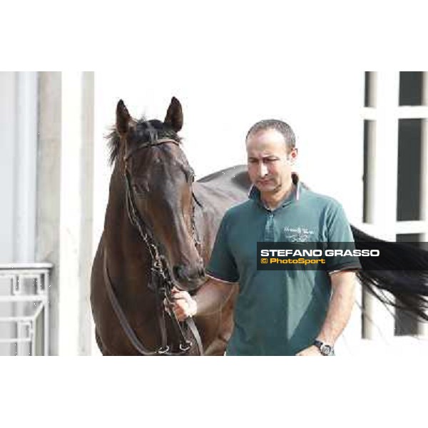 Avabin - Walter Gambarota - Premio Criterium Nazionale Milano-San Siro Racecourse,28th sept.2014 ph.Stefano Grasso/Trenno srl