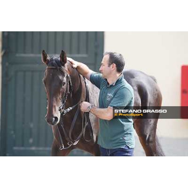 Avabin - Walter Gambarota - Premio Criterium Nazionale Milano-San Siro Racecourse,28th sept.2014 ph.Stefano Grasso/Trenno srl