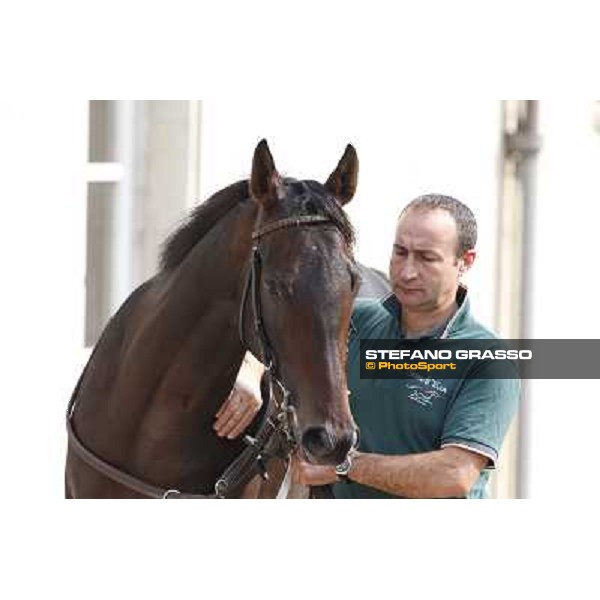 Avabin - Walter Gambarota - Premio Criterium Nazionale Milano-San Siro Racecourse,28th sept.2014 ph.Stefano Grasso/Trenno srl