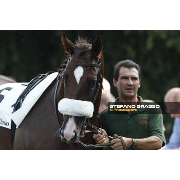 Trust You - Premio Criterium Nazionale Milano-San Siro Racecourse,28th sept.2014 ph.Stefano Grasso/Trenno srl