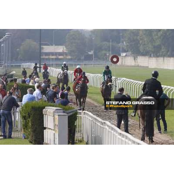 Avabin - Walter Gambarota - Premio Criterium Nazionale Milano-San Siro Racecourse,28th sept.2014 ph.Stefano Grasso/Trenno srl