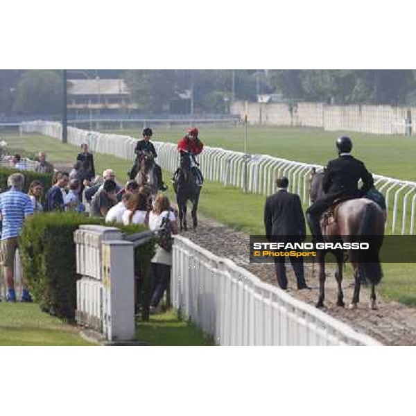Avabin - Walter Gambarota - Premio Criterium Nazionale Milano-San Siro Racecourse,28th sept.2014 ph.Stefano Grasso/Trenno srl