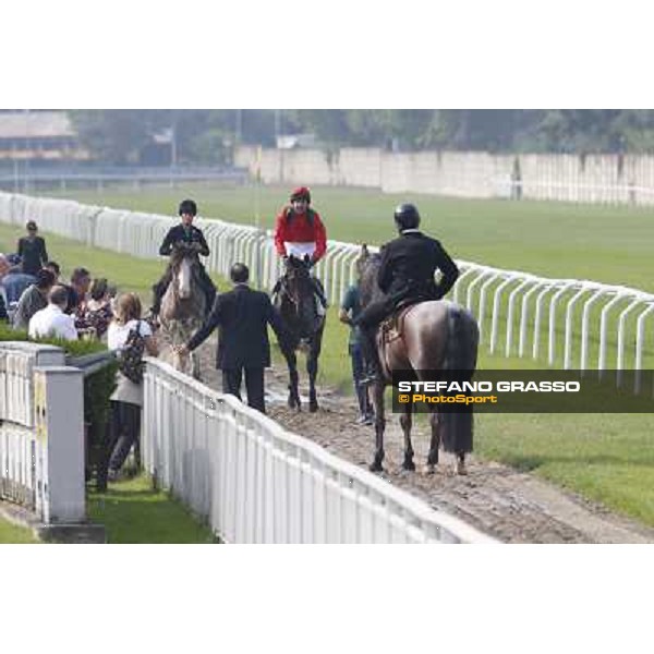 Avabin - Walter Gambarota - Premio Criterium Nazionale Milano-San Siro Racecourse,28th sept.2014 ph.Stefano Grasso/Trenno srl