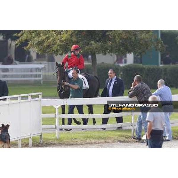 Avabin - Walter Gambarota - Premio Criterium Nazionale Milano-San Siro Racecourse,28th sept.2014 ph.Stefano Grasso/Trenno srl