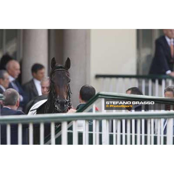 Avabin - Walter Gambarota - Premio Criterium Nazionale Milano-San Siro Racecourse,28th sept.2014 ph.Stefano Grasso/Trenno srl
