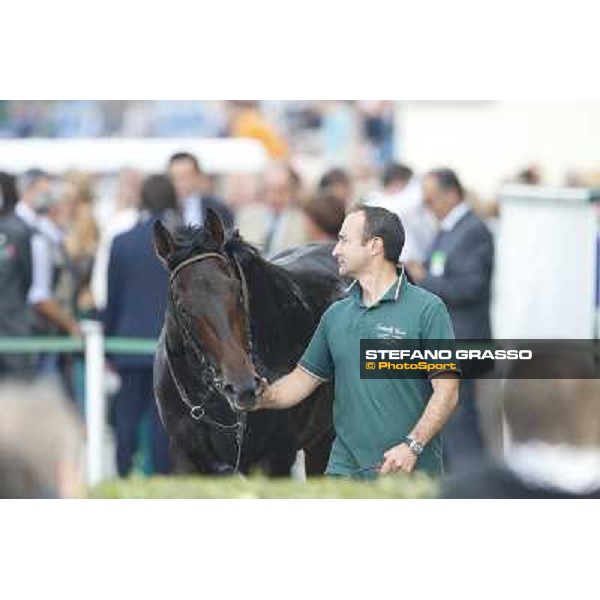 Avabin - Walter Gambarota - Premio Criterium Nazionale Milano-San Siro Racecourse,28th sept.2014 ph.Stefano Grasso/Trenno srl