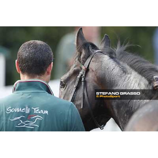 Avabin - Walter Gambarota - Premio Criterium Nazionale Milano-San Siro Racecourse,28th sept.2014 ph.Stefano Grasso/Trenno srl
