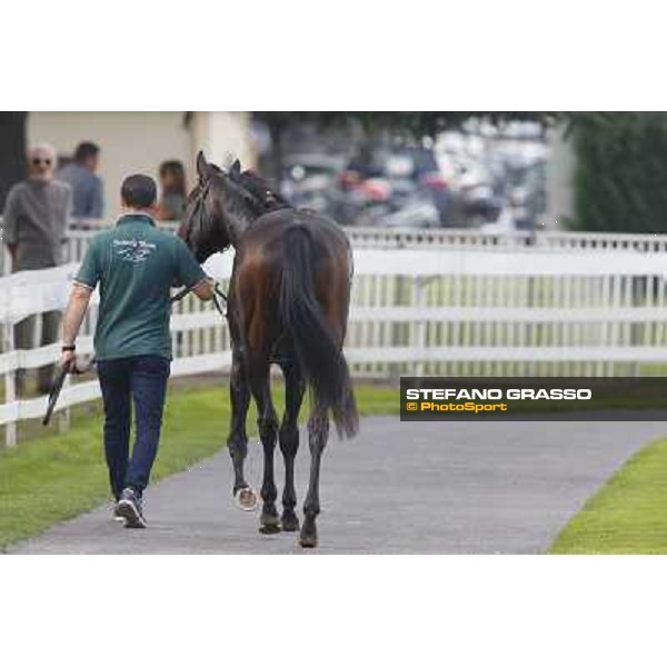 Avabin - Walter Gambarota - Premio Criterium Nazionale Milano-San Siro Racecourse,28th sept.2014 ph.Stefano Grasso/Trenno srl