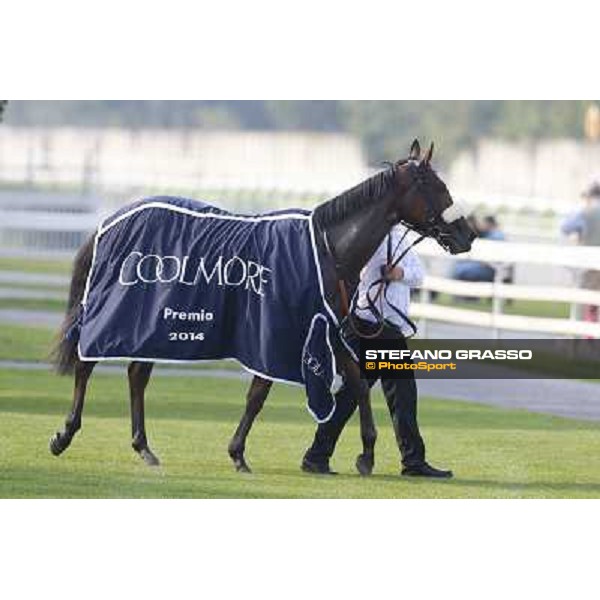 Mickael Barzalona - Sakamira - Premio Coolmore Milano-San Siro Racecourse,28th sept.2014 ph.Stefano Grasso/Trenno srl