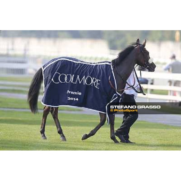 Mickael Barzalona - Sakamira - Premio Coolmore Milano-San Siro Racecourse,28th sept.2014 ph.Stefano Grasso/Trenno srl