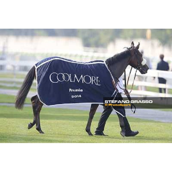 Mickael Barzalona - Sakamira - Premio Coolmore Milano-San Siro Racecourse,28th sept.2014 ph.Stefano Grasso/Trenno srl