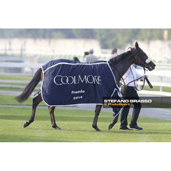 Mickael Barzalona - Sakamira - Premio Coolmore Milano-San Siro Racecourse,28th sept.2014 ph.Stefano Grasso/Trenno srl