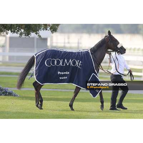 Mickael Barzalona - Sakamira - Premio Coolmore Milano-San Siro Racecourse,28th sept.2014 ph.Stefano Grasso/Trenno srl