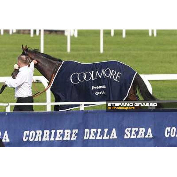Mickael Barzalona - Sakamira - Premio Coolmore Milano-San Siro Racecourse,28th sept.2014 ph.Stefano Grasso/Trenno srl