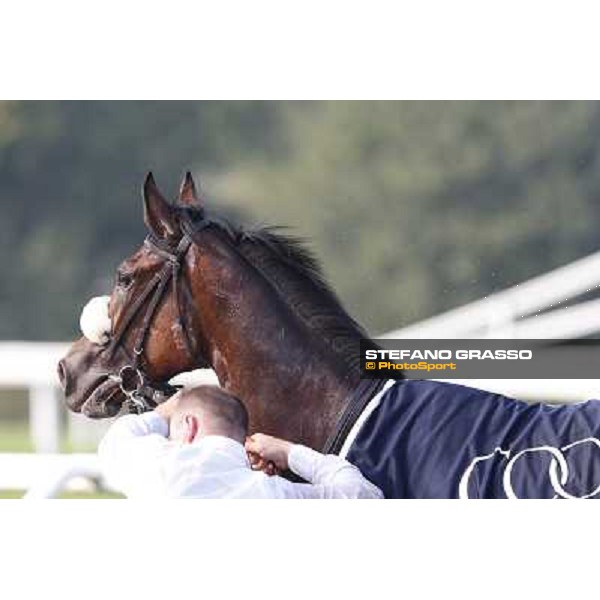 Mickael Barzalona - Sakamira - Premio Coolmore Milano-San Siro Racecourse,28th sept.2014 ph.Stefano Grasso/Trenno srl