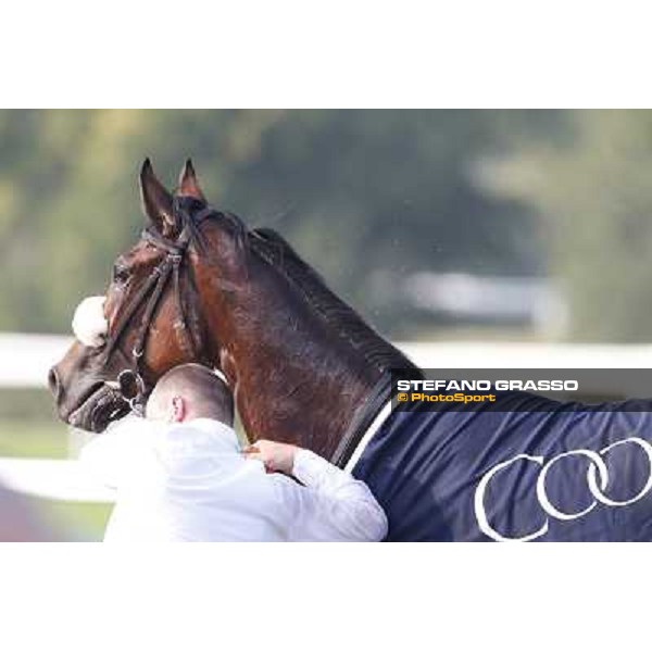 Mickael Barzalona - Sakamira - Premio Coolmore Milano-San Siro Racecourse,28th sept.2014 ph.Stefano Grasso/Trenno srl