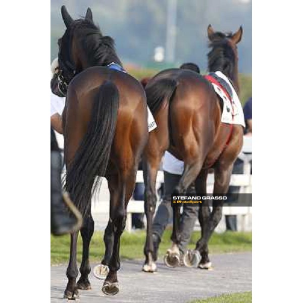 Dario Vargiu - Uniram - Premio Marchese Ippolito Fassati Milano-San Siro Racecourse,28th sept.2014 ph.Stefano Grasso/Trenno srl