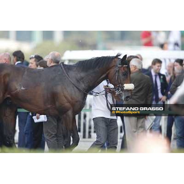 Uniram - Premio Marchese Ippolito Fassati Milano-San Siro Racecourse,28th sept.2014 ph.Stefano Grasso/Trenno srl