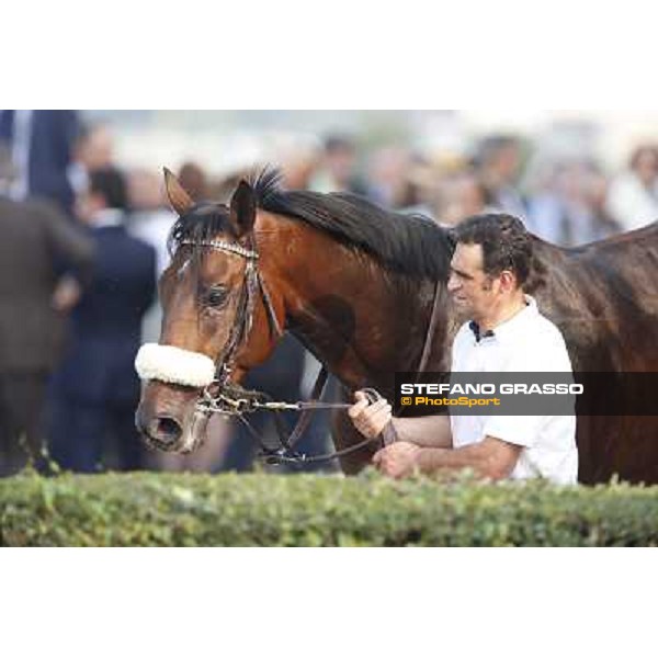 Uniram - Premio Marchese Ippolito Fassati Milano-San Siro Racecourse,28th sept.2014 ph.Stefano Grasso/Trenno srl