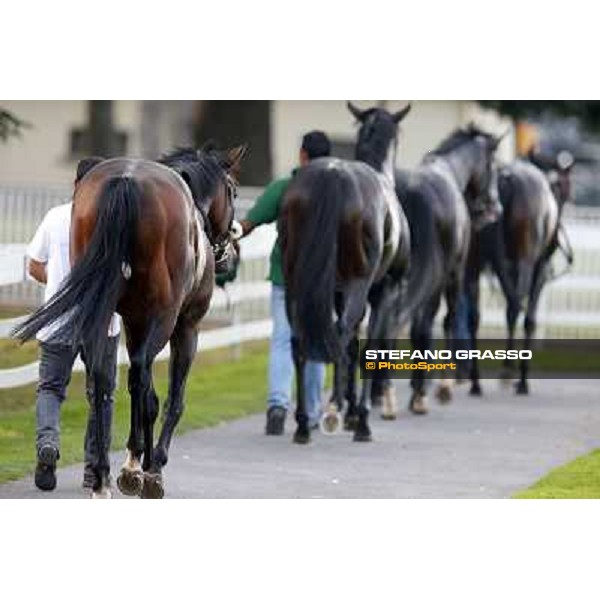 Uniram - Premio Marchese Ippolito Fassati Milano-San Siro Racecourse,28th sept.2014 ph.Stefano Grasso/Trenno srl