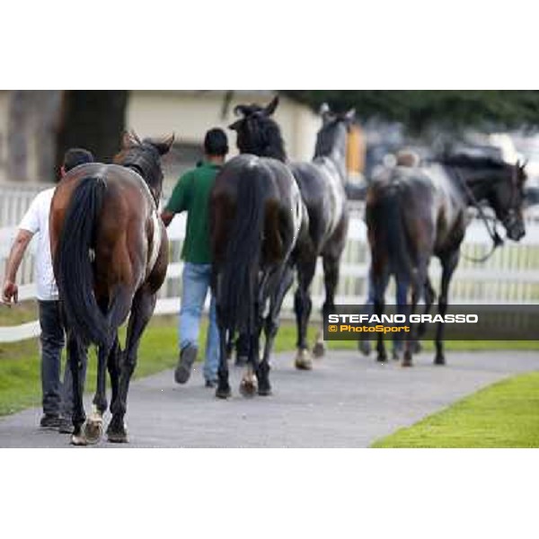 Uniram - Premio Marchese Ippolito Fassati Milano-San Siro Racecourse,28th sept.2014 ph.Stefano Grasso/Trenno srl