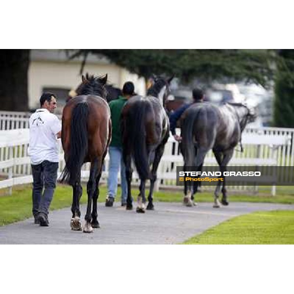 Uniram - Premio Marchese Ippolito Fassati Milano-San Siro Racecourse,28th sept.2014 ph.Stefano Grasso/Trenno srl