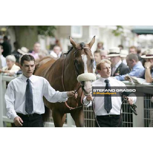Electrocutionist with his grooms in tghe pre-parade ring of The Juddmonte International Stakes York, The Ebor Meeting - 16th august 2005 ph. Stefano Grasso