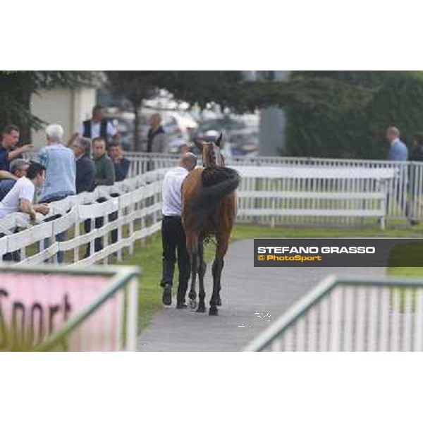 Ming Zhi Cosmos - Premio Sergio Cumani Milano-San Siro Racecourse,28th sept.2014 ph.Stefano Grasso/Trenno srl