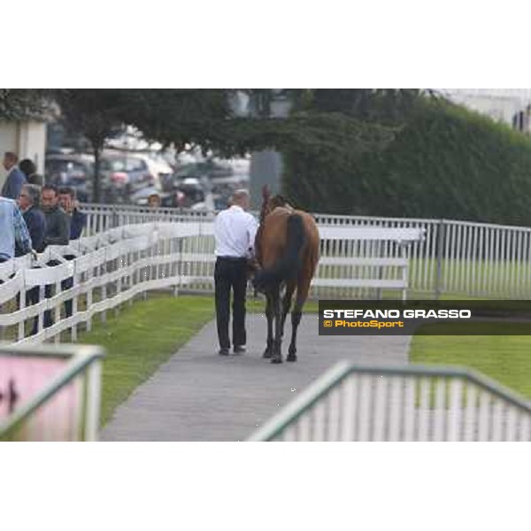 Ming Zhi Cosmos - Premio Sergio Cumani Milano-San Siro Racecourse,28th sept.2014 ph.Stefano Grasso/Trenno srl