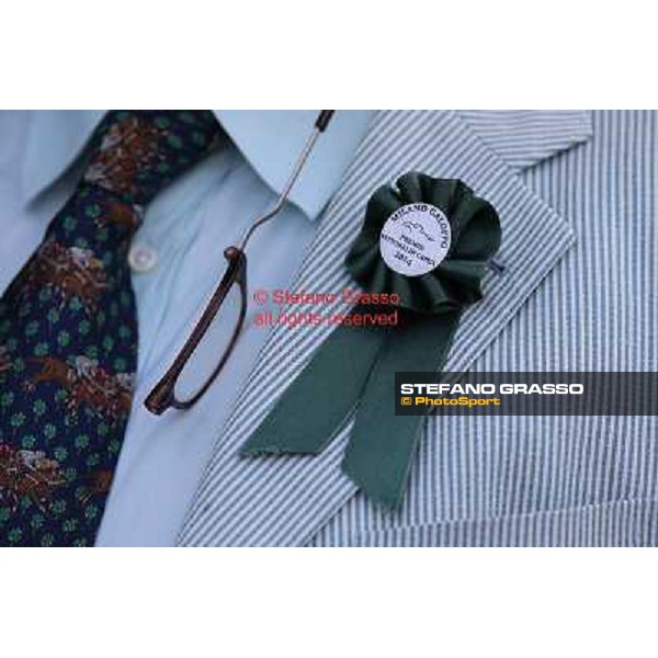 A touch of green Milano-San Siro Racecourse,28th sept.2014 ph.Stefano Grasso/Trenno srl