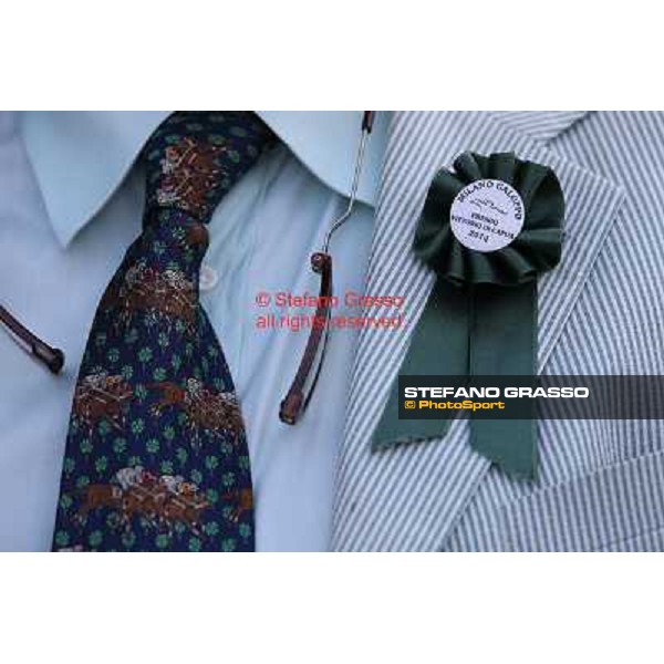 A touch of green Milano-San Siro Racecourse,28th sept.2014 ph.Stefano Grasso/Trenno srl