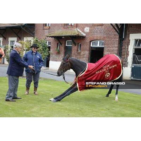 a morning with Treve,Criquette and Alec Head Chantilly,6th oct.2014 ph.Stefano Grasso