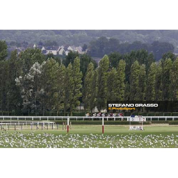 racing Deauville, 20th august 2005 ph. Stefano Grasso