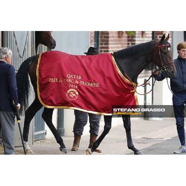 a morning with Treve,Criquette and Alec Head Chantilly,6th oct.2014 ph.Stefano Grasso