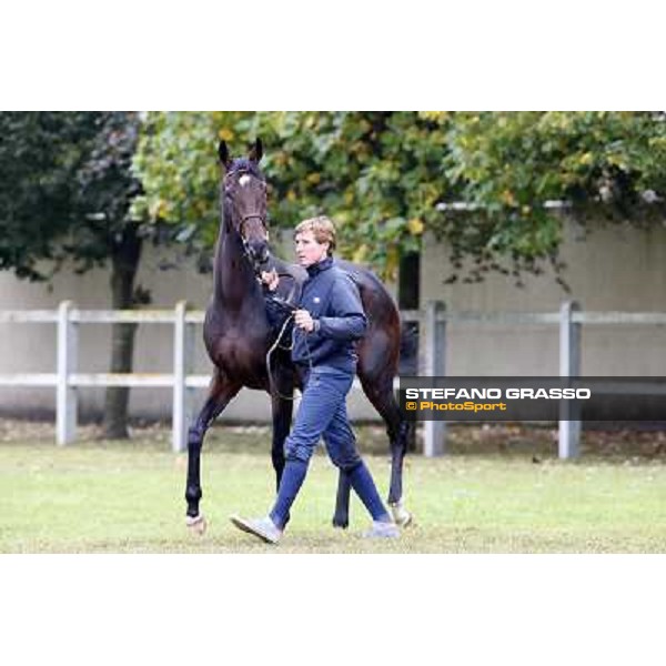 a morning with Treve,Criquette and Alec Head Chantilly,6th oct.2014 ph.Stefano Grasso