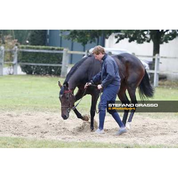 a morning with Treve,Criquette and Alec Head Chantilly,6th oct.2014 ph.Stefano Grasso