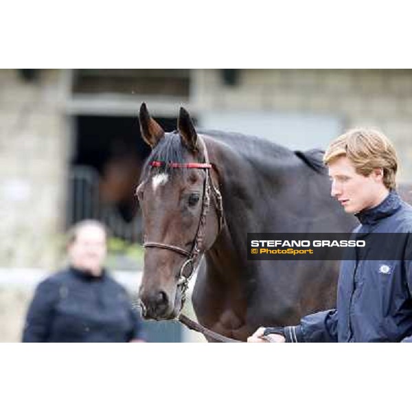 a morning with Treve,Criquette and Alec Head Chantilly,6th oct.2014 ph.Stefano Grasso