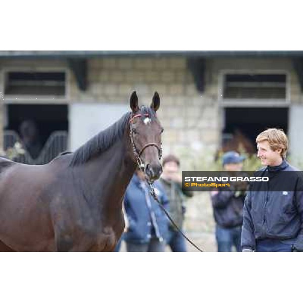 a morning with Treve,Criquette and Alec Head Chantilly,6th oct.2014 ph.Stefano Grasso