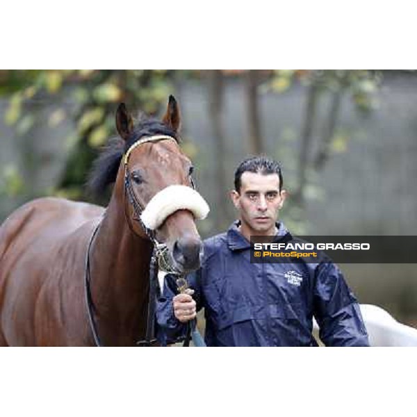 Gran Criterium - Hero Look Milan, San Siro racecourse,12 ottobre 2014 photo Stefano Grasso/Trenno srl