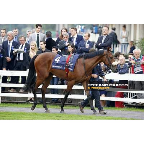 Gran Criterium - Ginwar Milan, San Siro racecourse,12 ottobre 2014 photo Stefano Grasso/Trenno srl