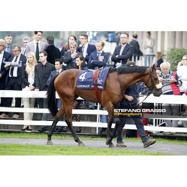 Gran Criterium - Ginwar Milan, San Siro racecourse,12 ottobre 2014 photo Stefano Grasso/Trenno srl
