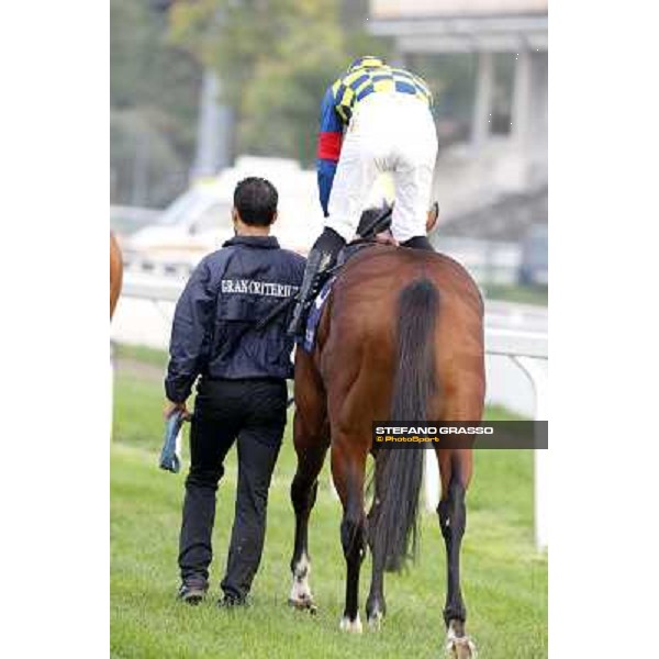 Gran Criterium - Fabio Branca on Hero Look Milan, San Siro racecourse,12 ottobre 2014 photo Stefano Grasso/Trenno srl
