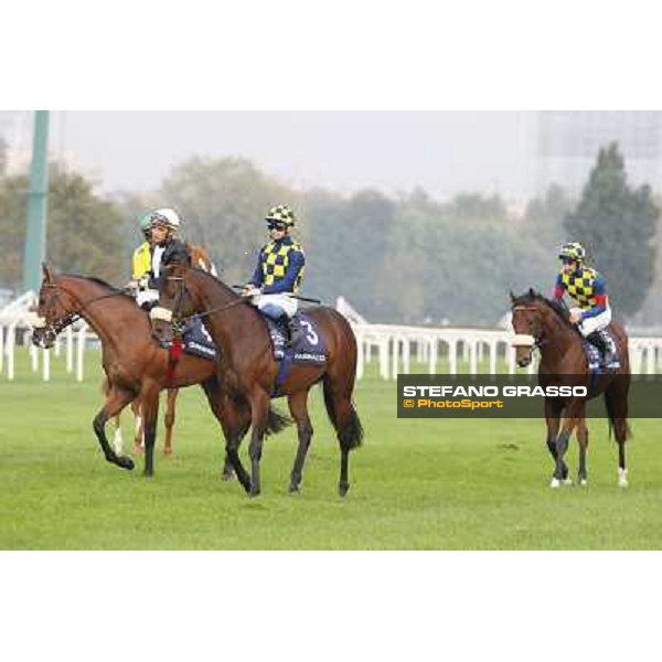 Gran Criterium - Ginwar,Farinacci and Hero Look Milan, San Siro racecourse,12 ottobre 2014 photo Stefano Grasso/Trenno srl