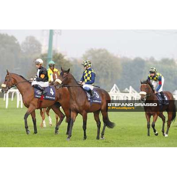 Gran Criterium - Ginwar,Farinacci and Hero Look Milan, San Siro racecourse,12 ottobre 2014 photo Stefano Grasso/Trenno srl
