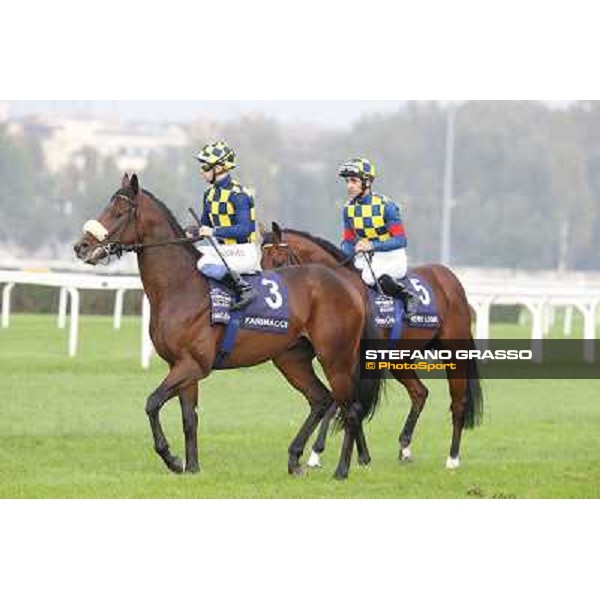 Gran Criterium - Umberto Rispoli on Farinacci and Fabio Branca on Hero Look Milan, San Siro racecourse,12 ottobre 2014 photo Stefano Grasso/Trenno srl